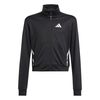 ADIJM1586-000.jpg ADIJM1586-000.jpg