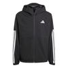 ADIJM1056-000.jpg ADIJM1056-000.jpg