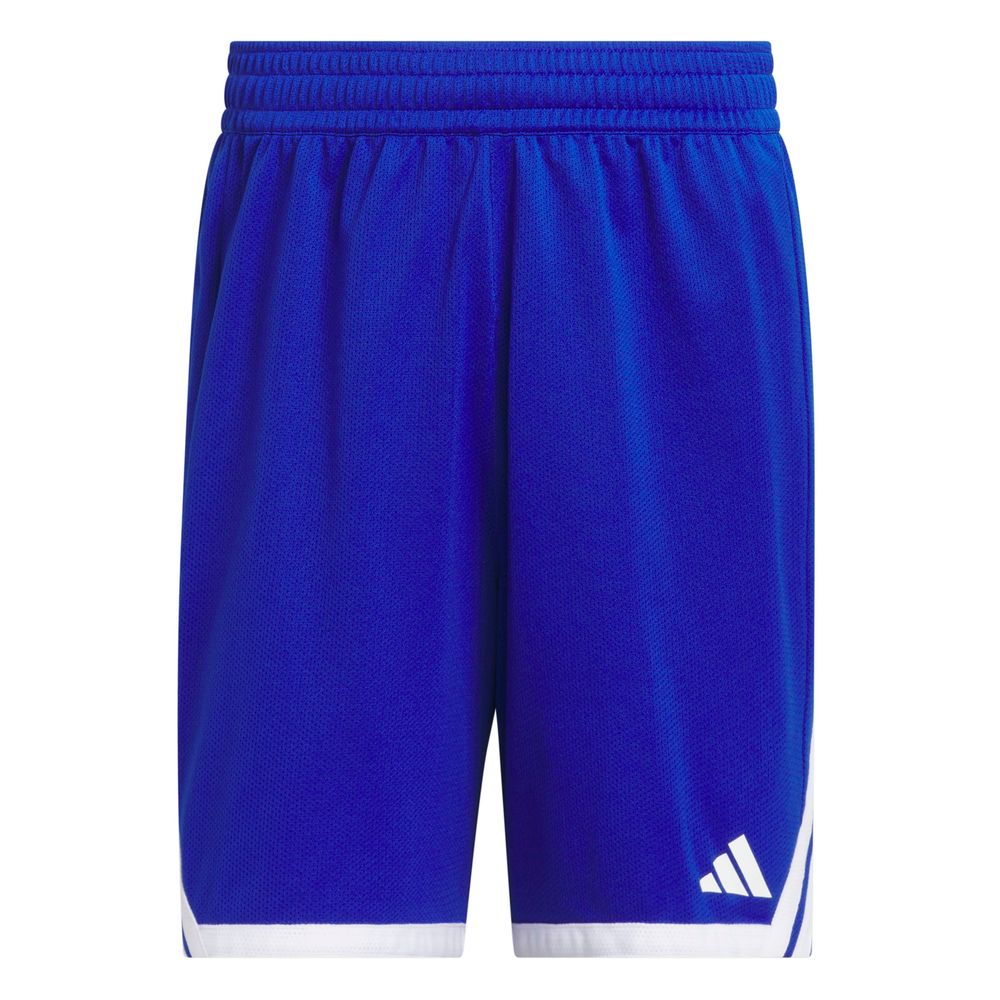 adidas M Evryday Pro S - royblu/white