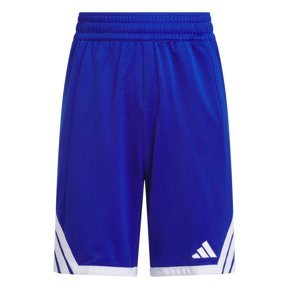 adidas Y Kinder Evryday Pro S - royblu/white