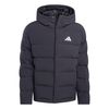 ADIJN2099-000.jpg ADIJN2099-000.jpg