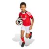 ADIJN9940-000_7.jpg ADIJN9940-000_7.jpg
