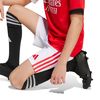 ADIJN9944-000_4.jpg ADIJN9944-000_4.jpg