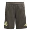 ADIJP3994-000.jpg ADIJP3994-000.jpg