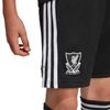 ADIJV6483-000_5.jpg ADIJV6483-000_5.jpg