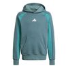 ADIJW2490-000.jpg ADIJW2490-000.jpg
