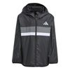 ADIJV9857-000.jpg