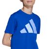 ADIJV9866-000_5.jpg ADIJV9866-000_5.jpg
