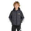 ADIJW2443-000.jpg ADIJW2443-000.jpg