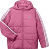 ADIJW2444-000.jpg ADIJW2444-000.jpg
