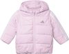 ADIJW2442-000.jpg ADIJW2442-000.jpg