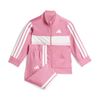 ADIJW4981-000.jpg ADIJW4981-000.jpg