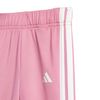 ADIJW4981-000_4.jpg ADIJW4981-000_4.jpg