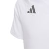 ADIKA4479-000_5.jpg