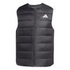 ADIKC1597-000.jpg ADIKC1597-000.jpg