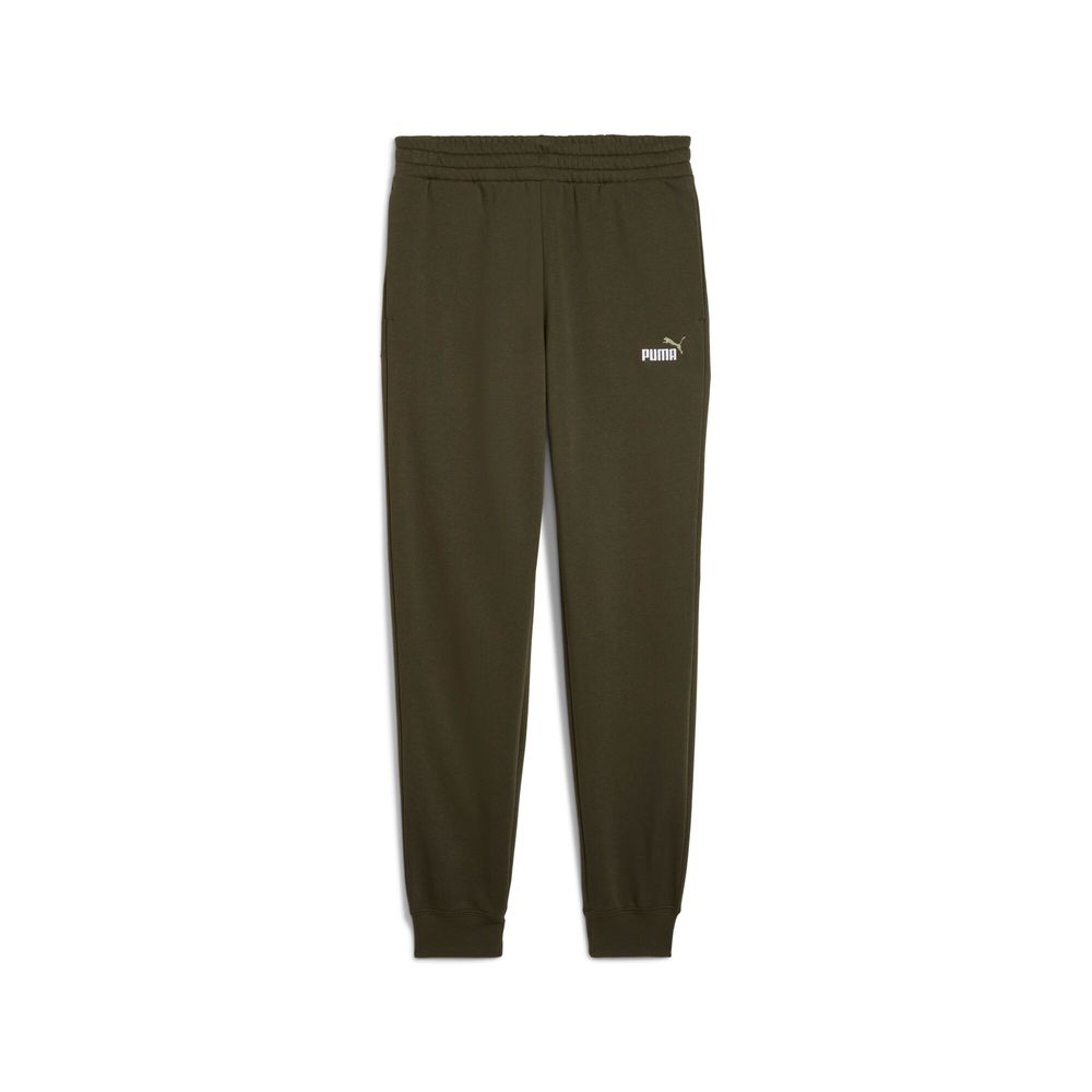 Puma ESS 2 COLOR No. 1 Logo Sweatpants FL cl - grün