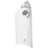 KE2003662-02_2.png KE2003662-02_2.png