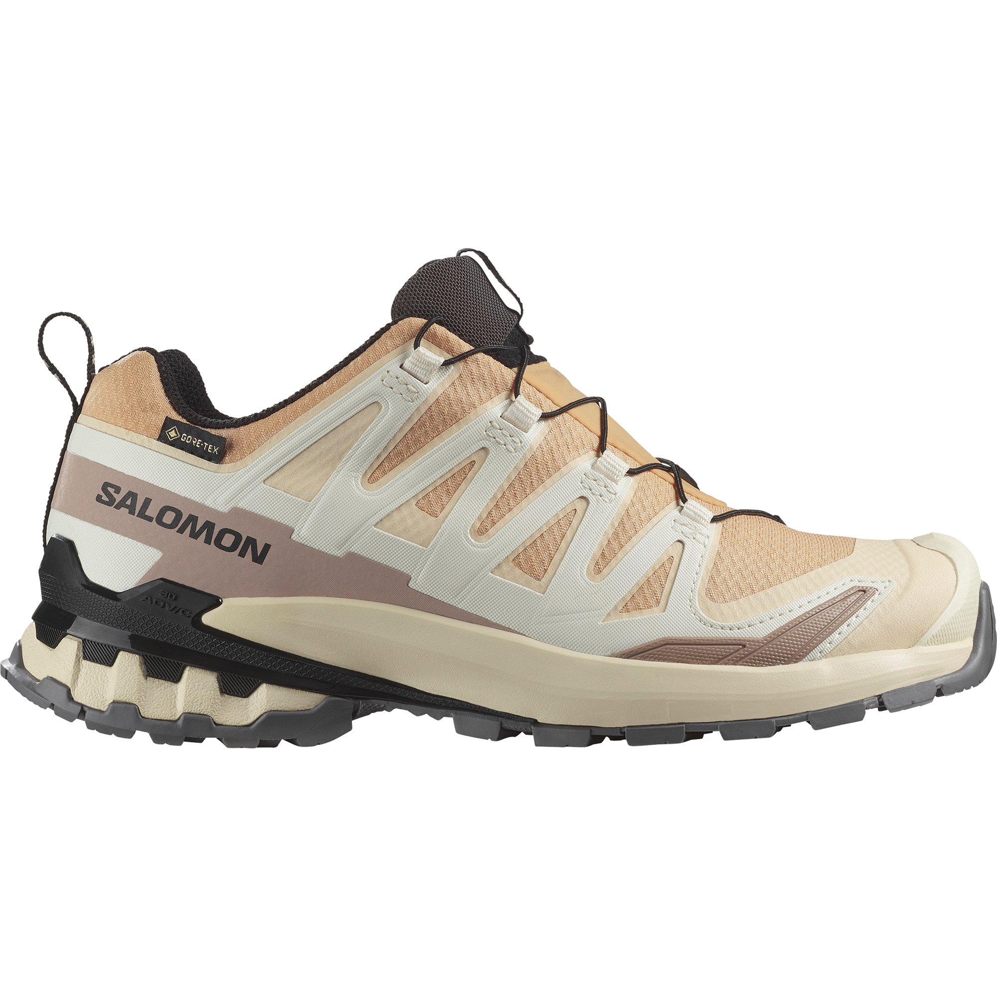 Salomon SHOES XA PRO 3D V9 GTX W Hzlnu - Hazelnut/Tender Peach/Black