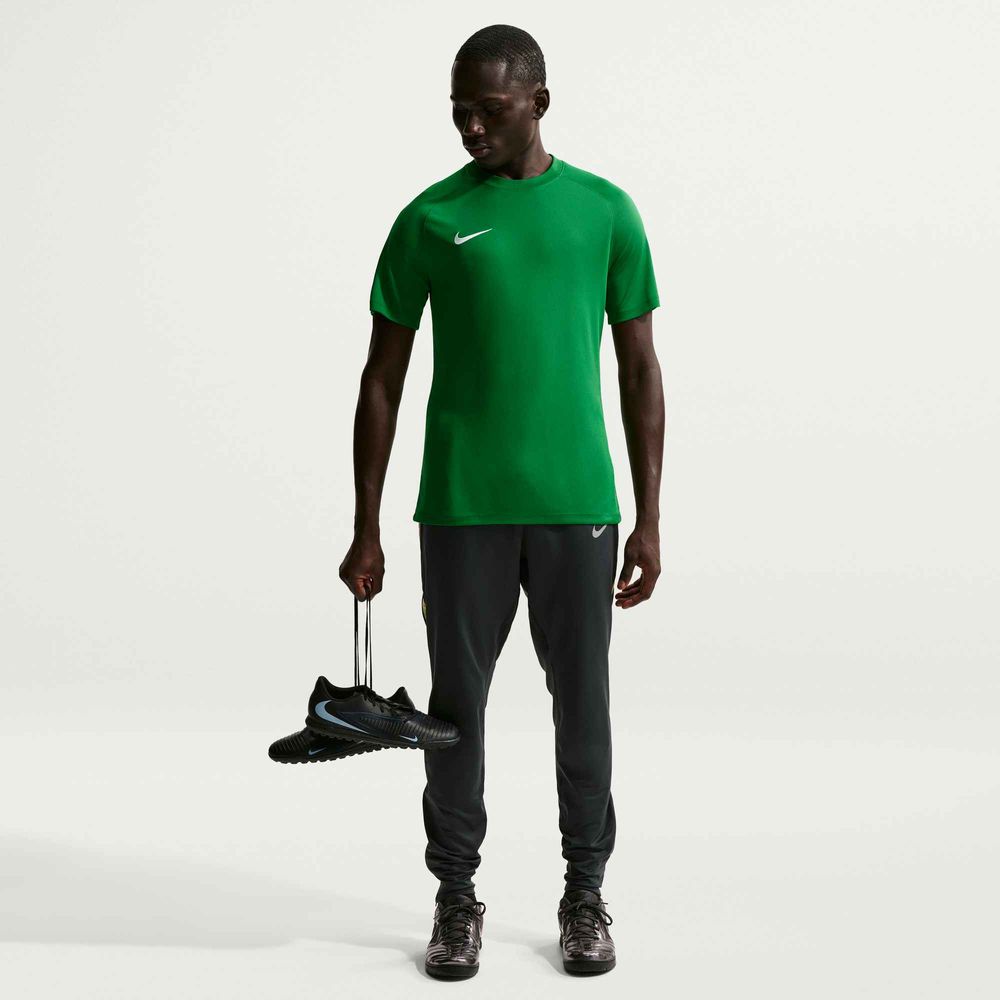 Nike M Nk Df Park Viii Jsy Ss - pine green/white