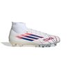 ADIKJ1436-000.jpg ADIKJ1436-000.jpg
