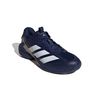 ADIKI8418-000_5.jpg ADIKI8418-000_5.jpg