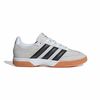 ADIKJ3729-000.jpg ADIKJ3729-000.jpg