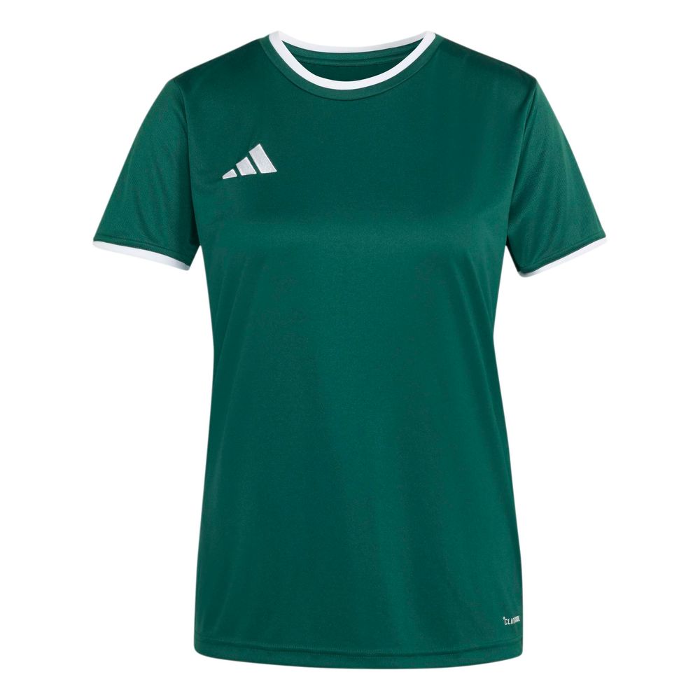 adidas Entrada 26 Jsy W - drkgrn/white