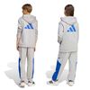 ADIKS5823-000_14.jpg ADIKS5823-000_14.jpg