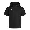 ADIIS9767-000.jpg ADIIS9767-000.jpg