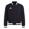 ADIIS9785-000.jpg ADIIS9785-000.jpg