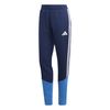 ADIJL8739-000.jpg ADIJL8739-000.jpg