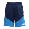 ADIJL8917-000.jpg ADIJL8917-000.jpg