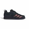 ADIJP6198-000.jpg