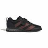ADIJP6203-000.jpg ADIJP6203-000.jpg