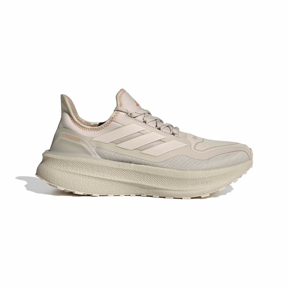 adidas Ultraboost 5 Gtx - wonalu/alumin/duor