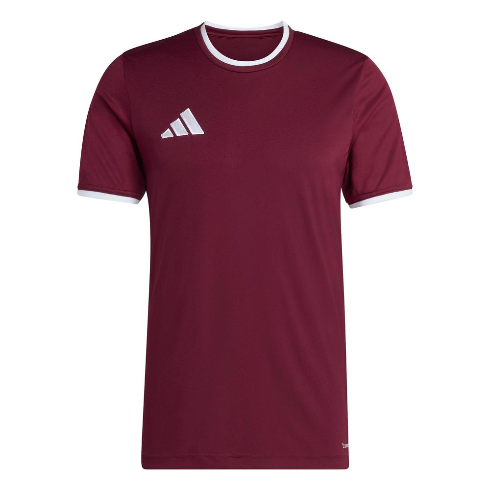 adidas Entrada 26 Jsy - teamar/white