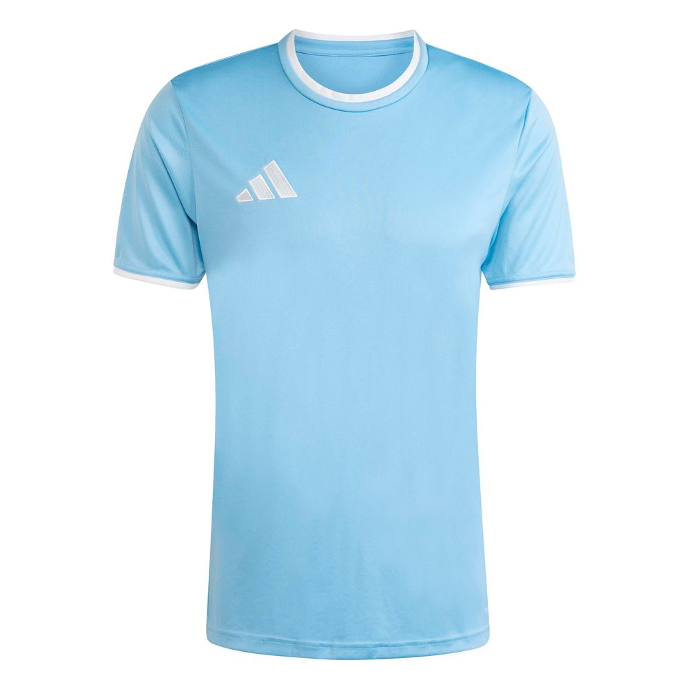 adidas Entrada 26 Jsy - tmlgbl/white