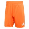 ADIJZ2512-000.jpg ADIJZ2512-000.jpg