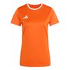 ADIJZ2496-000.jpg ADIJZ2496-000.jpg