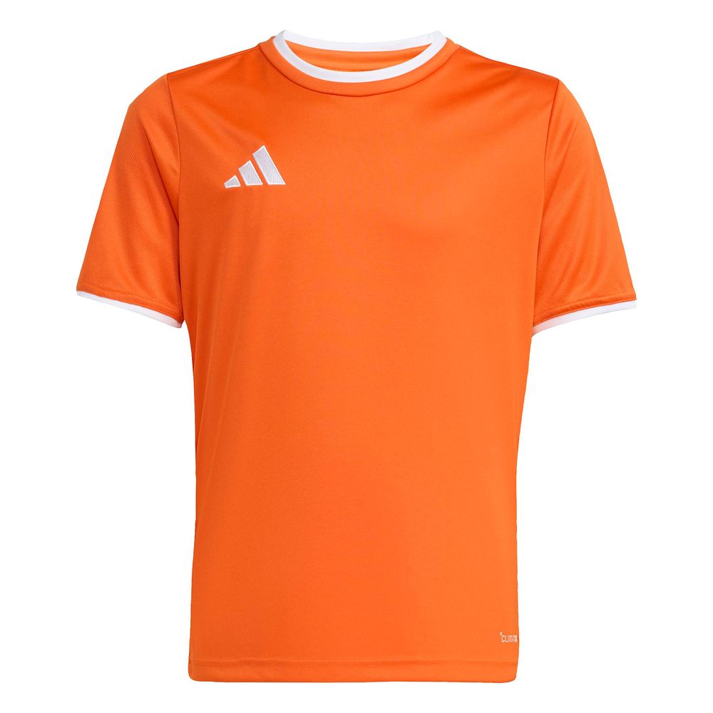adidas Entrada 26 Jsy Y Kinder - teaora/white