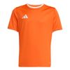 ADIJZ2526-000.jpg ADIJZ2526-000.jpg