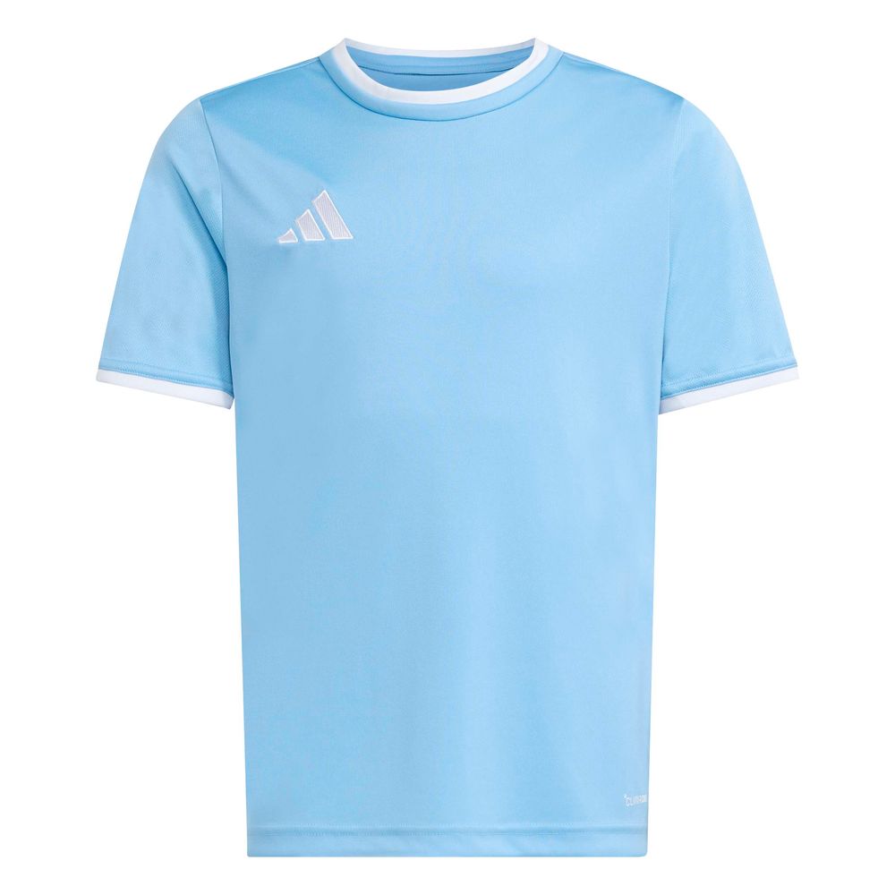 adidas Entrada 26 Jsy Y Kinder - tmlgbl/white