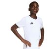 ADIJZ2532-000_6.jpg ADIJZ2532-000_6.jpg