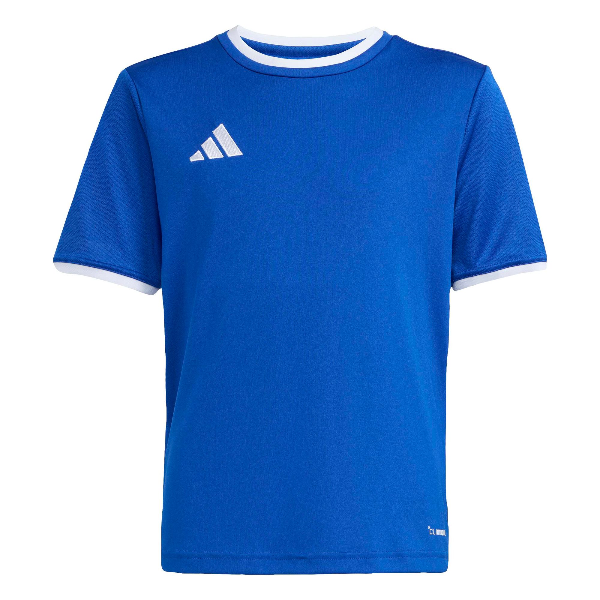 adidas Entrada 26 Jsy Y Kinder - royblu/white