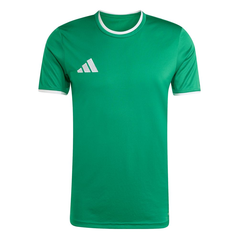 adidas Entrada 26 Jsy - teagrn/white