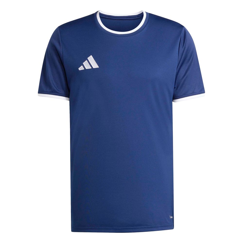 adidas Entrada 26 Jsy - tenabl/white