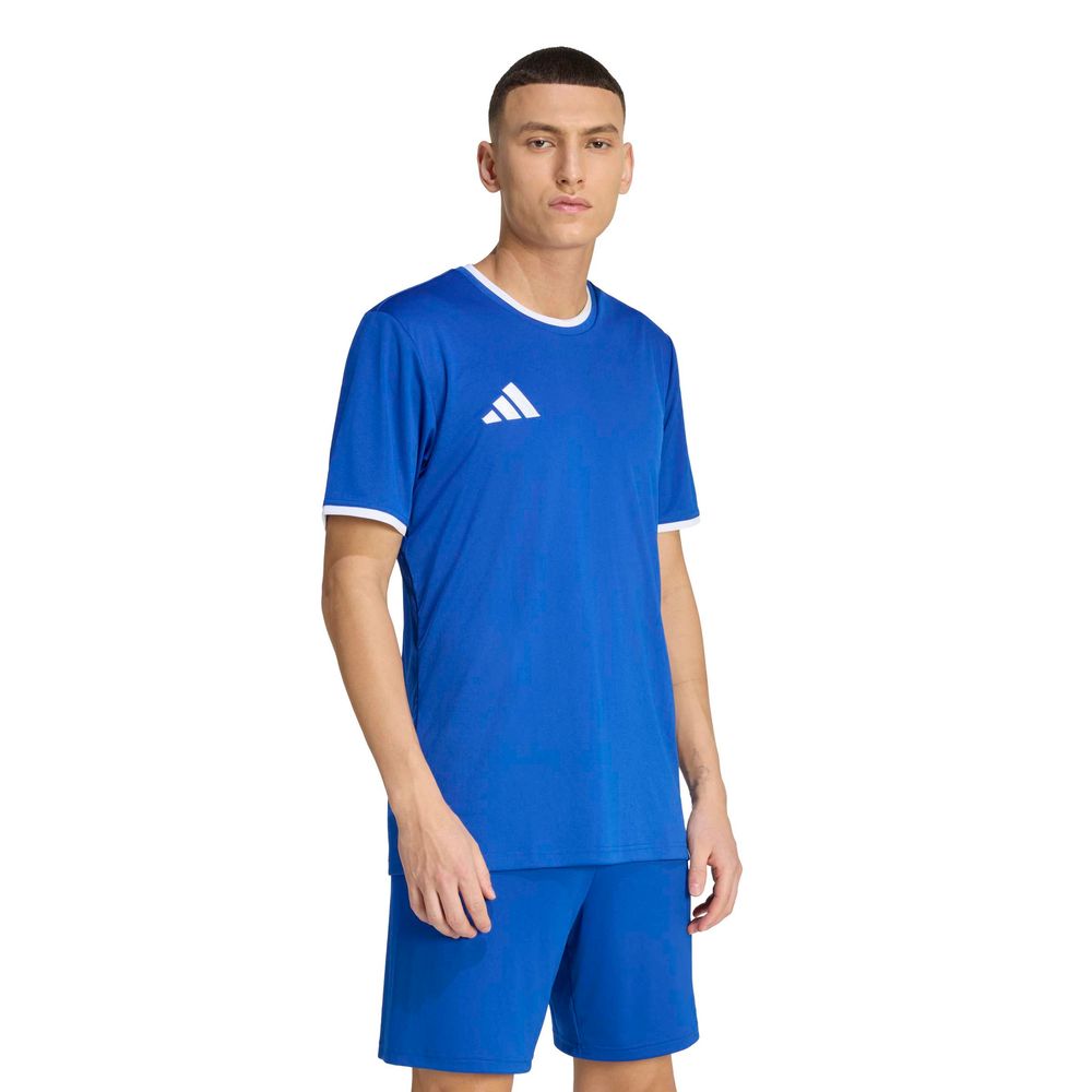 adidas Entrada 26 Jsy - royblu/white