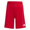ADIJZ6528-000.jpg ADIJZ6528-000.jpg