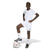 ADIJZ6526-000_4.jpg ADIJZ6526-000_4.jpg