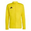 ADIJZ6588-000.jpg ADIJZ6588-000.jpg